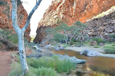 Alice Springs, Uluru Ayers Rock & Kings Canyon 8 Days Touring Package - Tourism Search 2
