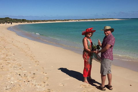 Elope In Paradise - Weddings At Mission Beach - Tourism Search 6