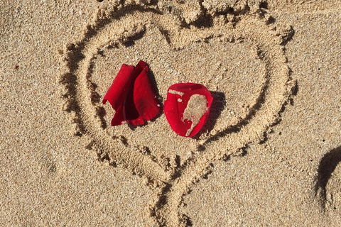 Elope In Paradise - Weddings At Mission Beach - Tourism Search 3