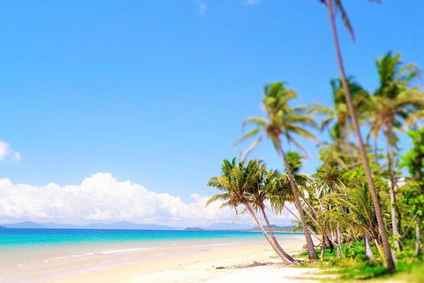 Airport Transfer - Mission Beach To Cairns Airport - Tourism Search 3