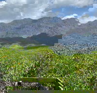 Hinchinbrook Island Tour - Tourism Search