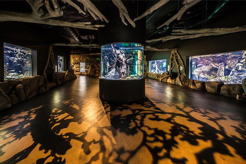 Cairns Aquarium By Twilight With 3 Course Dinner - Tourism Search 7