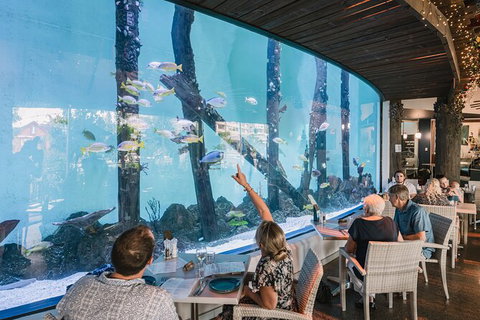 Cairns Aquarium By Twilight With 3 Course Dinner - Tourism Search 1