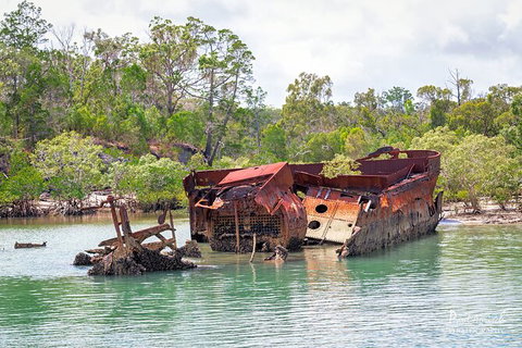 Sandy Straits Scenic & Wildlife Cruise - Tourism Search 9