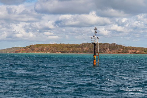 Sandy Straits Scenic & Wildlife Cruise - Tourism Search 6