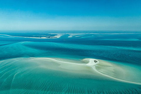 Sandy Straits Scenic & Wildlife Cruise - Tourism Search 5