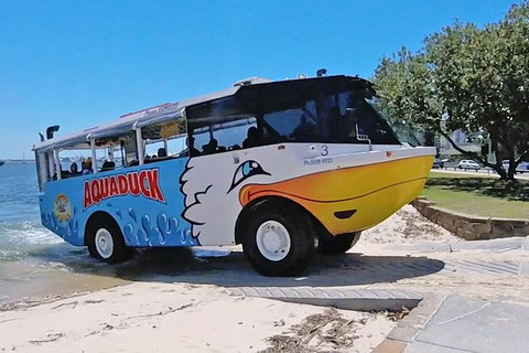 Aquaduck Gold Coast & IFLY - Tourism Search 0