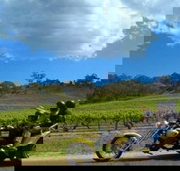 Unique Trike Barossa Valley Half Day Private Tour For 2 - Tourism Search