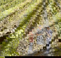 Beyond The Velvet Rope - Behind the Scenes Tour - Tourism Search