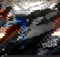 Barossa Rally School Hotlap Ride in a Rally Car 3 Laps - Tourism Search