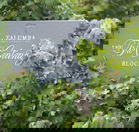 Yalumba Nursery  Grenache Discovery Tour  Platter Lunch - Tourism Search