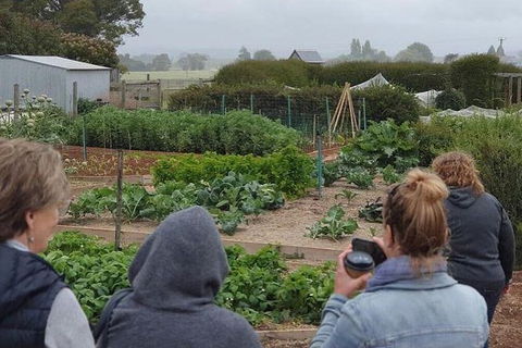 Unearthed Chefs Tour - Tourism Search 17