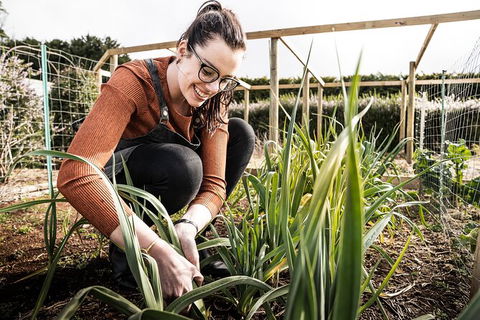 Unearthed Chefs Tour - Tourism Search 16