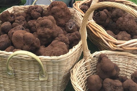 Unearthed Chefs Tour - Tourism Search 13