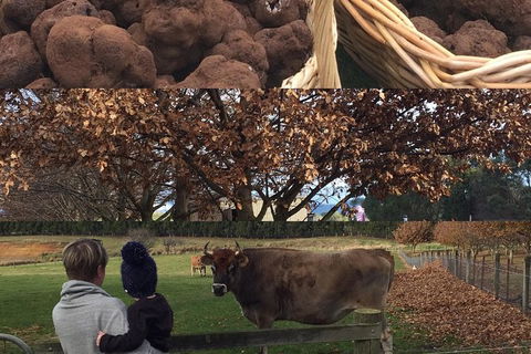 Unearthed Chefs Tour - Tourism Search 6