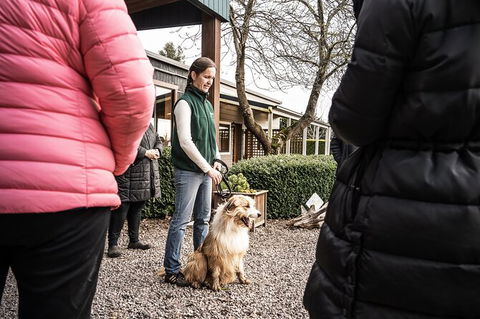 Unearthed Chefs Tour - Tourism Search 10