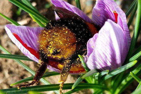 Unearthed Chefs Tour - Tourism Search 9