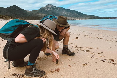 Freycinet Walking Tour - Tourism Search 0