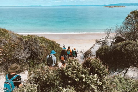 Freycinet Walking Tour - Tourism Search 2