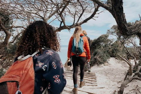 Freycinet Walking Tour - Tourism Search 6