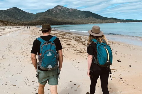 Freycinet Walking Tour - Tourism Search 7