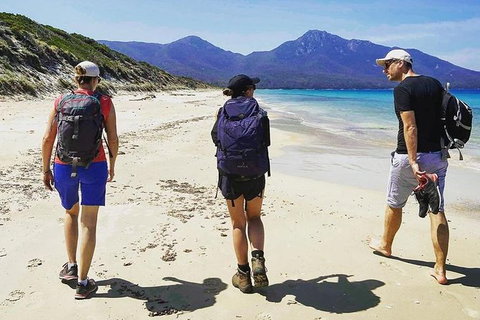 Freycinet Walking Tour - Tourism Search 1
