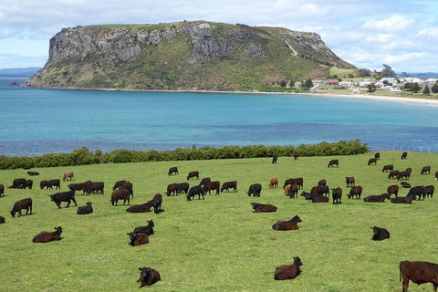 Cruise Ship Excursion: Stanley - Tourism Search 0