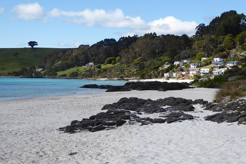 Cruise Ship Excursion: Stanley - Tourism Search 10