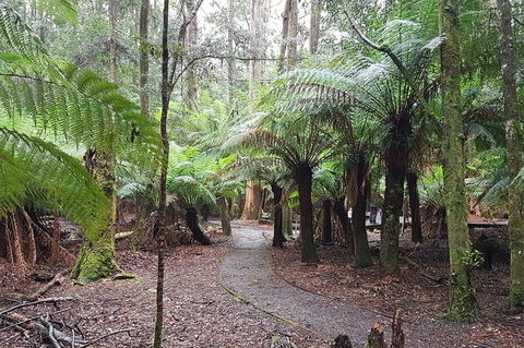 Cruise Ship Excursion: Stanley - Tourism Search 5