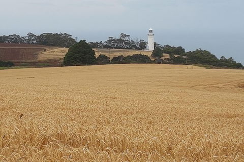 Cruise Ship Excursion: Stanley - Tourism Search 16