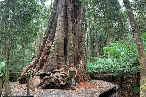 Cruise Ship Excursion: Stanley - Tourism Search 20