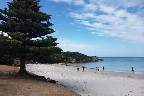 Cruise Ship Excursion: Stanley - Tourism Search 21