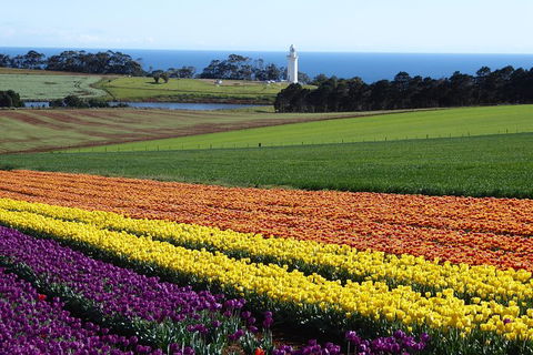 Cruise Ship Excursion: Stanley - Tourism Search 18