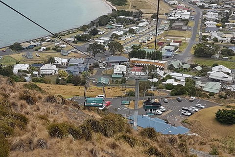 Cruise Ship Excursion: Stanley - Tourism Search 14