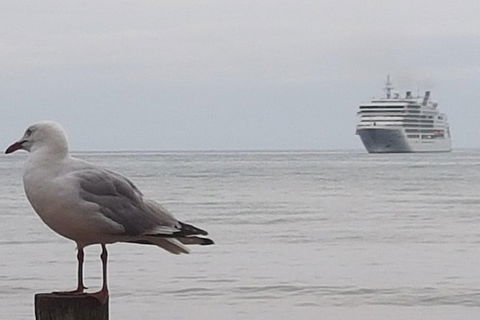 Cruise Ship Excursion: Stanley - Tourism Search 9