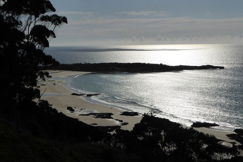 Cruise Ship Excursion: Stanley - Tourism Search 24