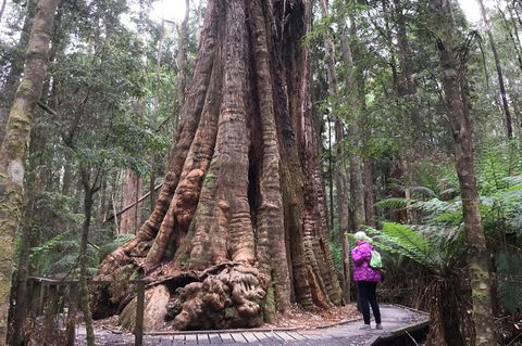 Cruise Ship Excursion: Stanley - Tourism Search 11