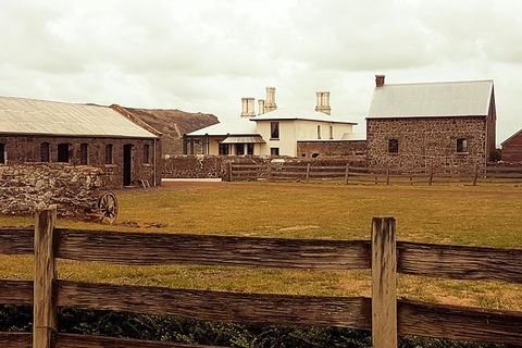 Cruise Ship Excursion: Stanley - Tourism Search 17