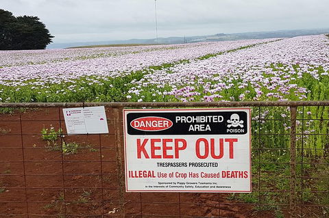 Cruise Ship Excursion: Stanley - Tourism Search 23