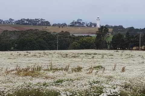 Cruise Ship Excursion: NW Tassie Coastal Explorer - Tourism Search 14
