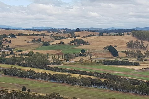 Cruise Ship Excursion: NW Tassie Coastal Explorer - Tourism Search 6