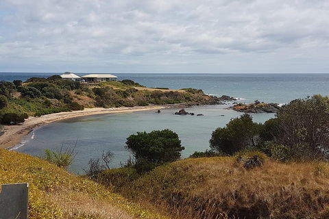 Cruise Ship Excursion: NW Tassie Coastal Explorer - Tourism Search 13