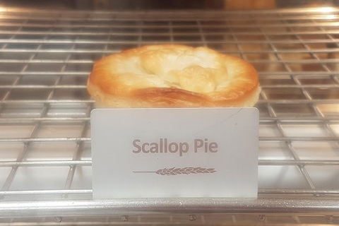 Cruise Ship Excursion: NW Tassie Coastal Explorer - Tourism Search 2