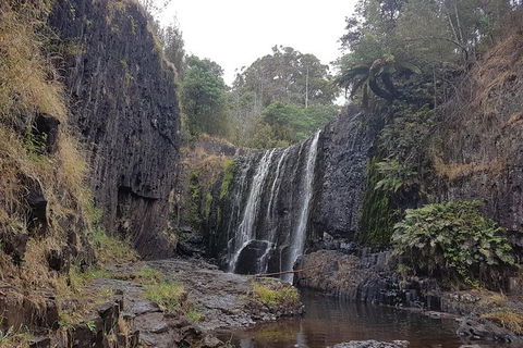 Cruise Ship Excursion: NW Tassie Coastal Explorer - Tourism Search 16