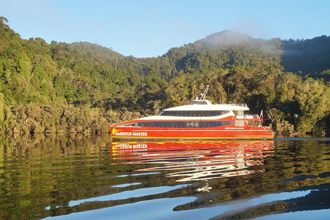 Afternoon Gordon River Dinner Cruise - Departing 3pm - Tourism Search 1