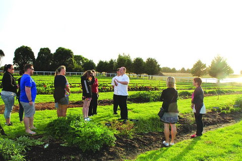 Georgie Bass (Patch 2 Plate) Cooking Classes - Tourism Search 0