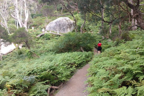 Wilsons Promontory Brainstorming Escape - Tourism Search 2