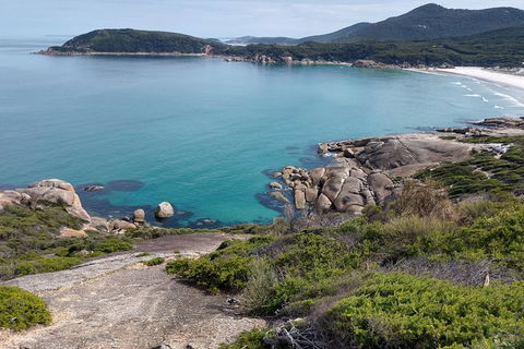 Wilsons Promontory Brainstorming Escape - Tourism Search 4