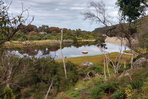 Wilsons Promontory Brainstorming Escape - Tourism Search 9