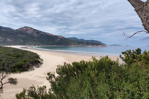 Wilsons Promontory Brainstorming Escape - Tourism Search 1